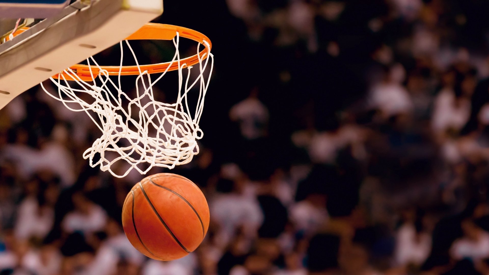 NBA联盟加大环保力度，推动可持续发展，nba联盟保护机制