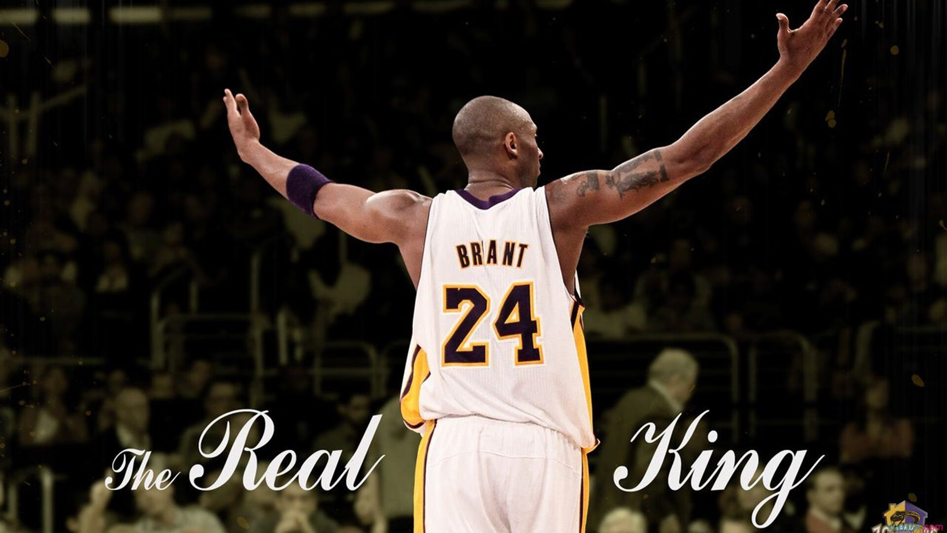 德甲火力全开：每一攻势都令人心跳加速，德甲实力